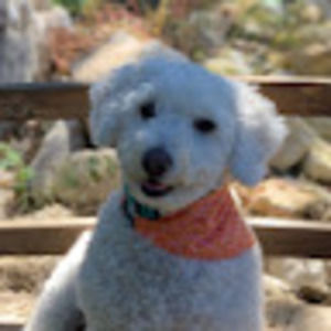 Meet your Posher, Audrey